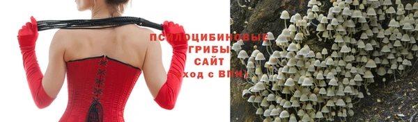винт Аркадак