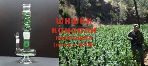 винт Аркадак