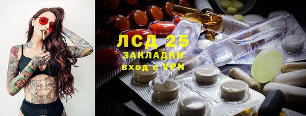 прущие грибы Красноперекопск